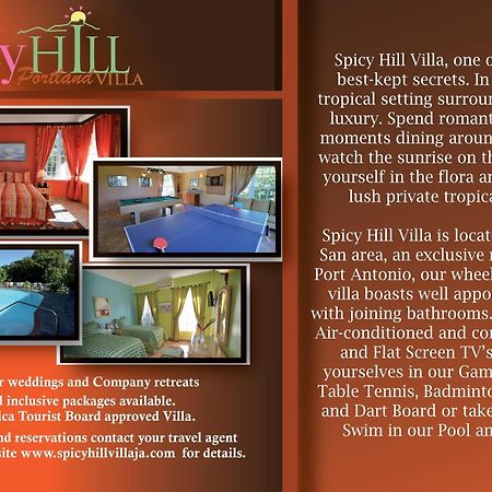 Spicy Hill Villa Порт-Антоніо Номер фото
